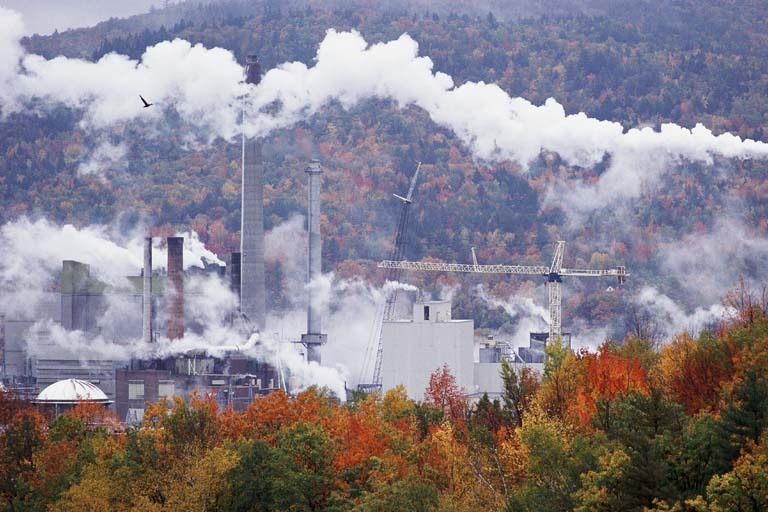 Image of environmental pollution in a wooded area